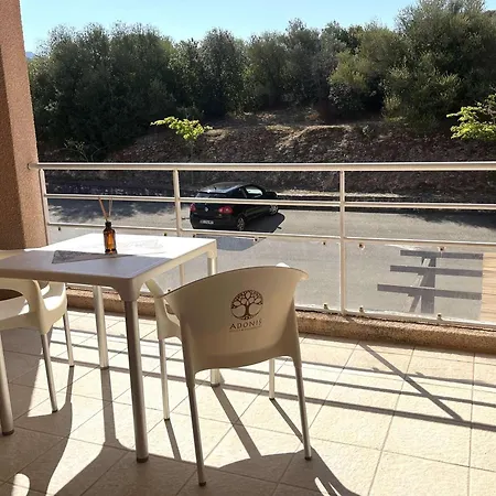 Appartement Climatise Avec Piscine Et Parking A Saint-florent - Fr-1-650-41 *